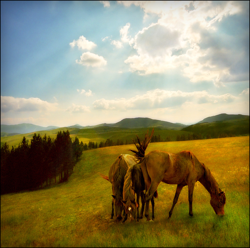 3008336914 0dcb2b9ccf o