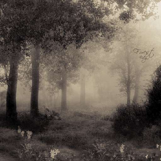 Foto 1783492fad5e241bf803fe2d8e9253bf