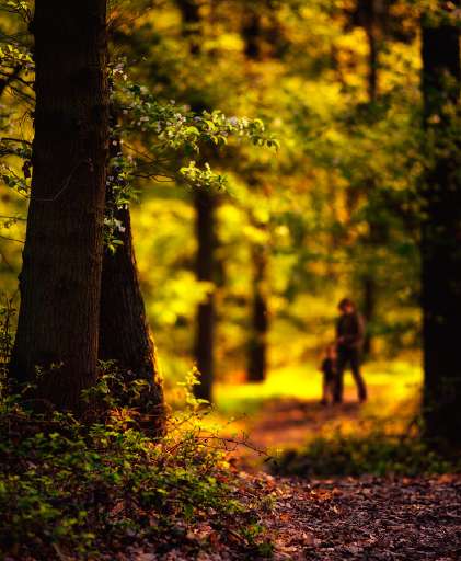 Foto 3496855330 31a30d281f o